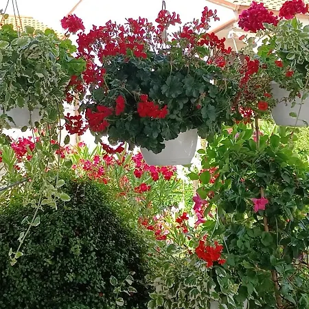 Apartamento Andela Pula