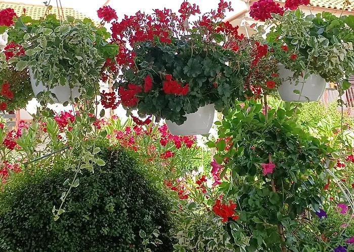 Apartman Andela Póla